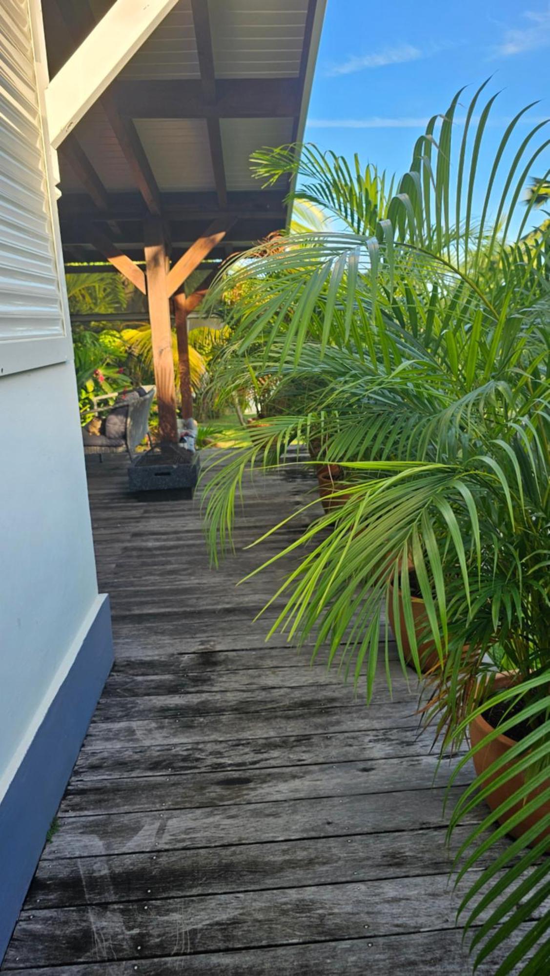 Habitation Villa Les Cassias Petit-Bourg Exterior foto